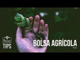 Bolsa Agrícola en Venezuela: ¿Cómo ha sido su evolución?