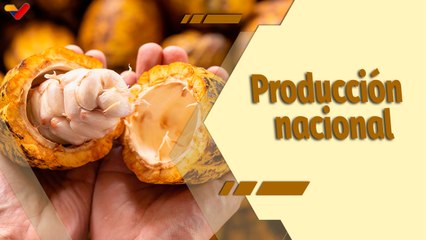 Café en la Mañana | Plan Cacao impulsa la producción en Barlovento, estado Miranda