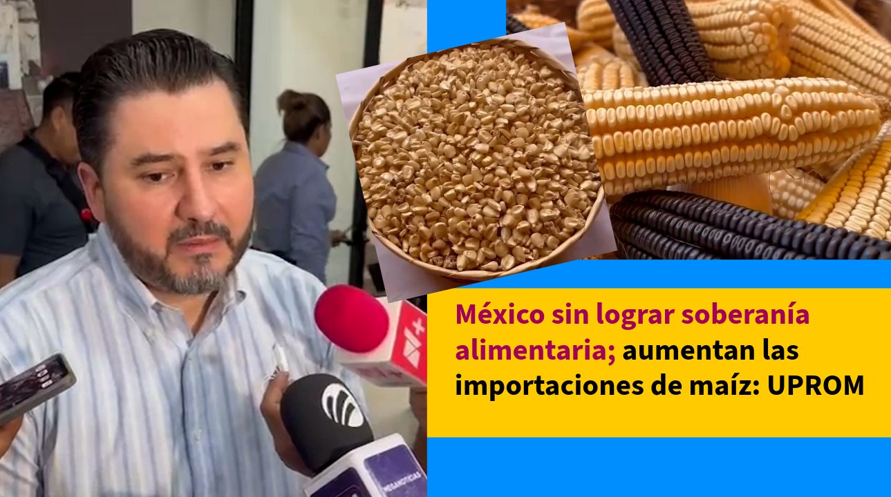 México sin lograr soberanía alimentaria; aumentan las importaciones de maíz: UPROM