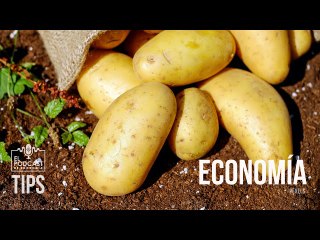 ¿Qué rubros y productos se manejan en la economía comunal?