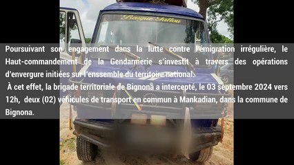 Émigration irrégulière: 55 candidats dont 12 femmes interpellés à Bignona
