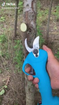 Sécateur électrique