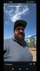 come procede la campagna delle olive