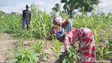 Boko Haram militants terrorize farmers in Nigeria