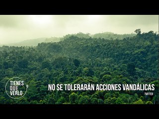 Download Video: Minería ilegal en Bolívar: 2500 evacuados y casas improvisadas de la delincuencia organizada