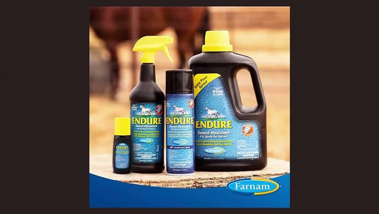 Horse Fly Control Made Easy: 7 Proven Solutions #HorseFlyControl  #equinecare  #HorseOwnerTips