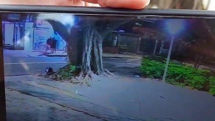 Video: Cámaras registraron la golpiza que terminó con la muerte de un hombre en la capital cruceña