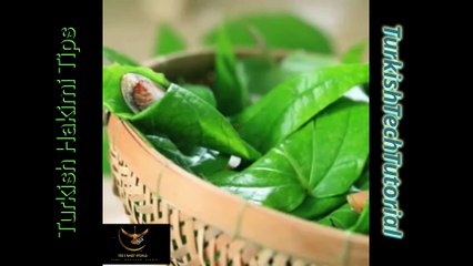 paan ke patto ke fayede | TBS | TurkiBhaijaan Studio