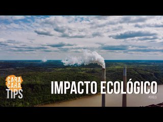 ¿Cuál es el impacto ecológico en la explotación de los recursos?