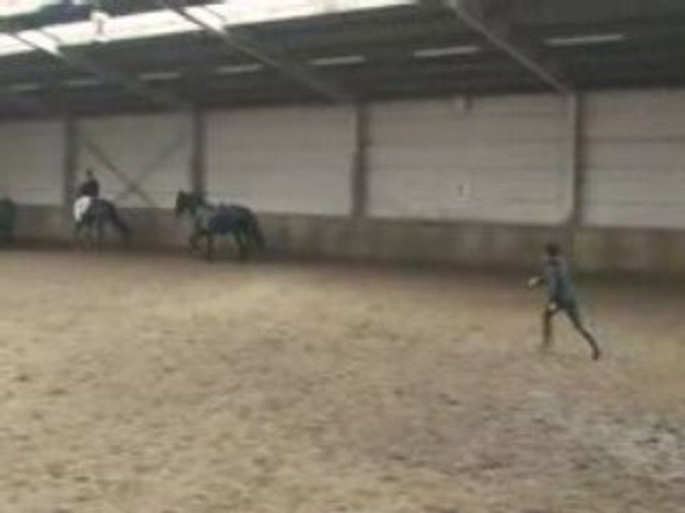 chute de cheval pripri