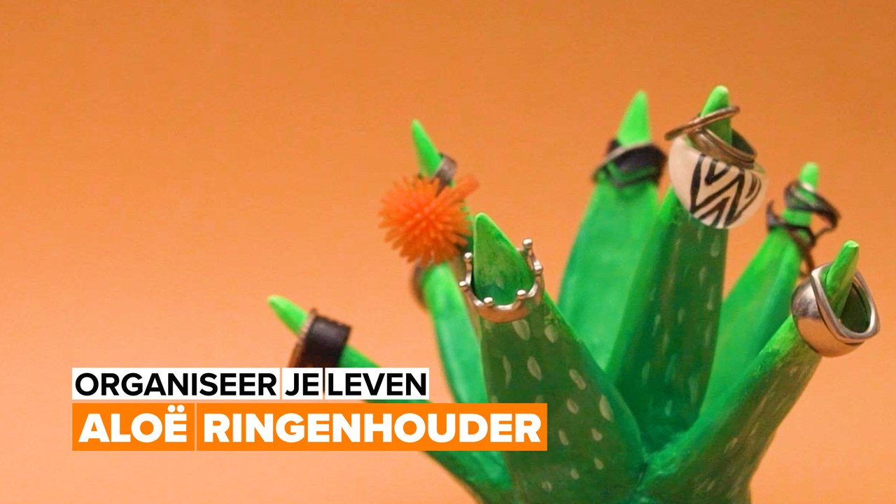 Organiseer je leven: Ringenhouder