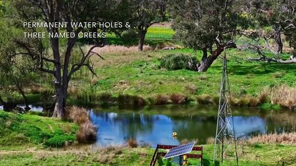 Mount Bodangora, Wellington, NSW | September 26, 2024 | Farmonline