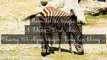C149-C156 (Hết) A Thiền - Đinh Mặc