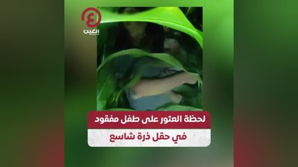 Download Video: لحظة العثور على طفل مفقود في حقل ذرة شاسع