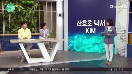 필리핀 산호초에 한국 이름 'KIM' 낙서... 일시 폐쇄 조치 #필리핀산호초