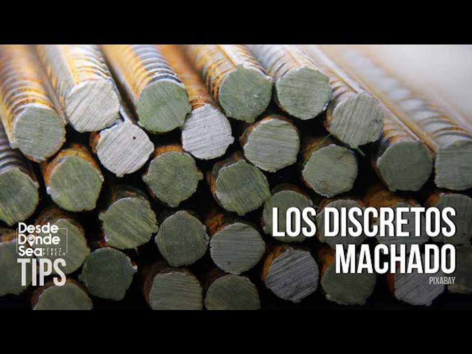 Con el negocio del hierro y las cavillas: Familia de María Corina lleva décadas enchufada al Estado