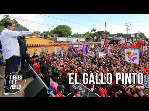 Pasó en Maturín: Le llevaron un gallo pinto a Maduro en plena tarima