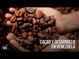 ¿Qué es y cómo funciona el autogobierno en Venezuela? Una experiencia a través del cacao