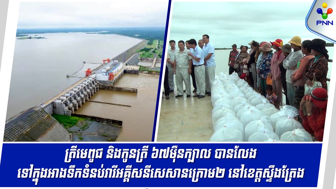 [06-09-24] ត្រីមេពូជ និងកូនត្រី ៦៧ម៉ឺនក្បាល បានលែងទៅក្នុងអាងទឹកទំនប់វារីអគ្គីសនីសេសានក្រោម២ នៅខេត្តស្ទឹងត្រែង