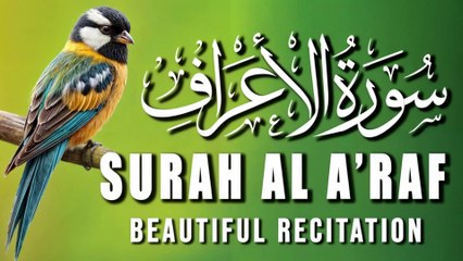 Surah Al-Aaraaf Full | سورة الاعراف | Relaxing Recitation | Tilawat E Quran  |Al Quran
