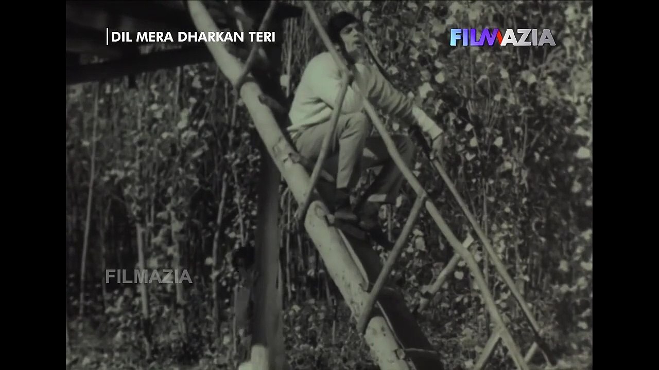 Guzre Na Sham Akeli -  Pakistani Classical Movie Dil Mera Dharkan Teri (1968) Ahmed Rushdi & Mala