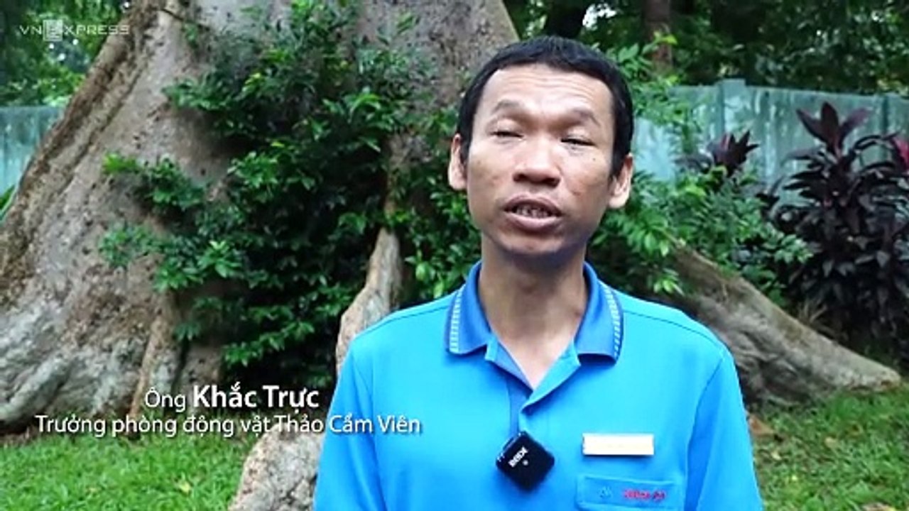 THẢ 7 RÁI CÁ VUỐT BÉ VỀ TỰ NHIÊN