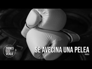 “Se avecina una pelea buena entre la doña de Edmundo y María Corina”