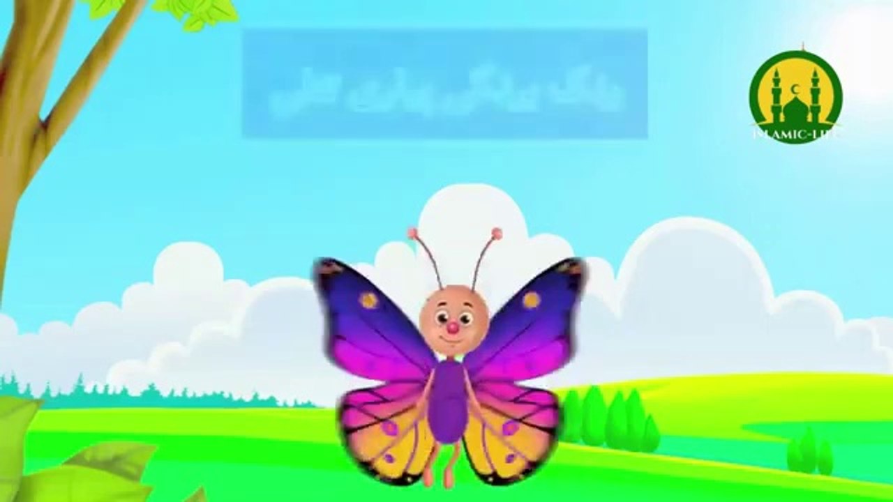 Piyari Titili_New Cartoons 2024_Kids Poem_Islamic Cartoon_Cartoon Story in URDU