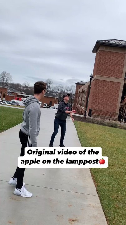 "What Fruit Should We Do Next Follow For More Videos Have Technically Tricks have Fun Moments Have Trendingreels"...!!