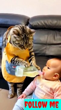 Funny cat #naturalbeauty933#natural#beauty#night#hotvideo#foryou#trenfungvideo#trendvideo#newvideo#dailymotion#sgortvideo#animals#catfunny#funnycat