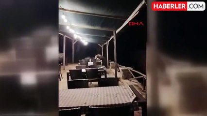 Ayı restoran bahçesinde şeker yedi