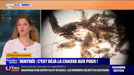 Comment repérer et se débarrasser des poux en cette rentrée scolaire