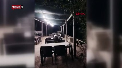 Restorana giren ayı masadaki şekerleri yedi