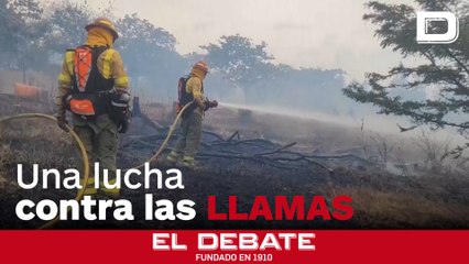 Los once incendios forestales que azotan Ecuador dejando en alerta a todo el país