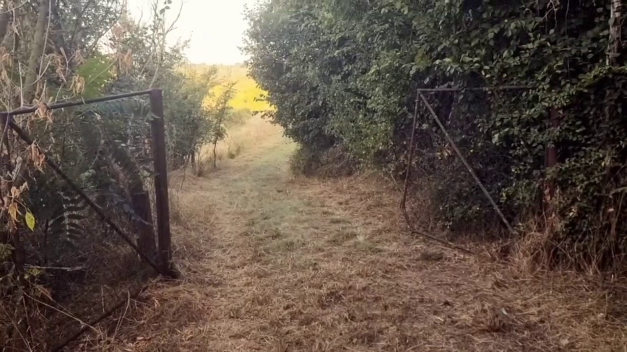 + + EINMALIGES GRUNDSTÜCK + + BERGE AM SALZIGEN SEE + + JUNG VAN HØLM + + I