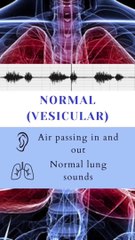 Sound Of Lungs