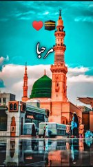 #12 Rabi ul awal#islamic video # TikTok video # shorts # 12ربیح اول#