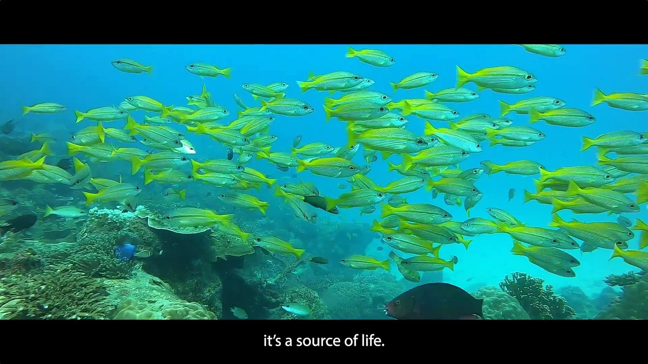 Episode 1  Ocean Treasures - Preservation of The Sea (European Union)