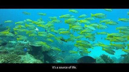 Episode 1  Ocean Treasures - Preservation of The Sea (European Union)