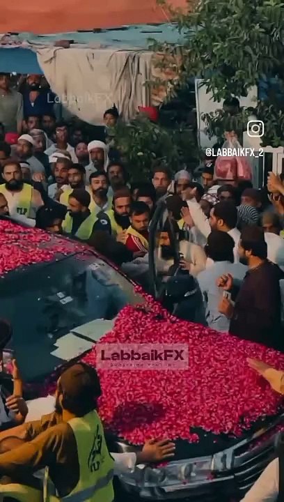 Protocol of Anas Bhai