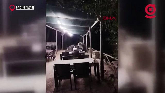 Restoranın bahçesine girip şekerleri yiyen ayı kamerada