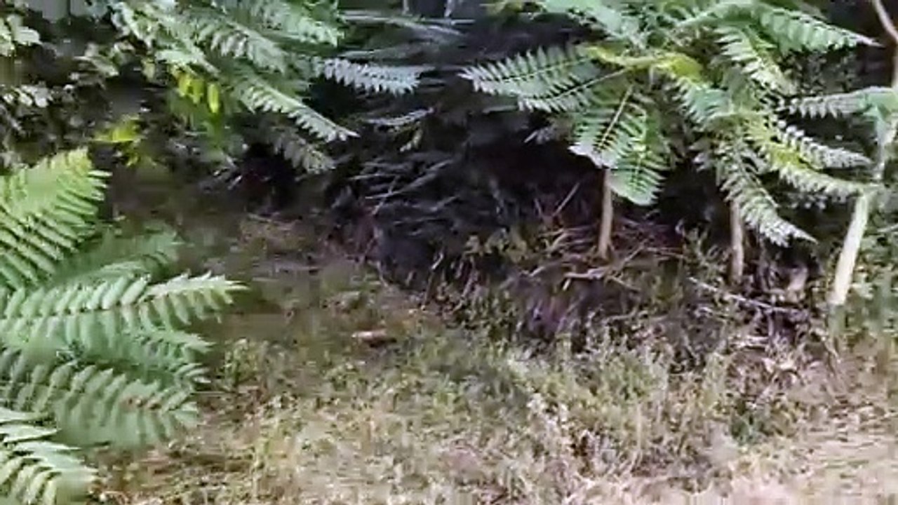 + + EINMALIGES GRUNDSTÜCK + + BERGE AM SALZIGEN SEE + + JUNG VAN HØLM + + III