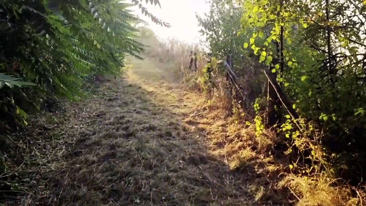 + + EINMALIGES GRUNDSTÜCK + + BERGE AM SALZIGEN SEE + + JUNG VAN HØLM + + IV