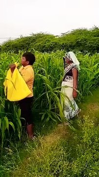 Dasi rajab family vlogs | dasi anti village vlogs | daily vlog #short #shorts #rajabfamily #mayang