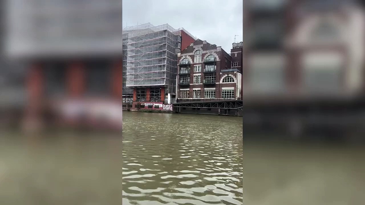 Crocodile sculpture appears at harbour made infamous by a 'croc sighting'