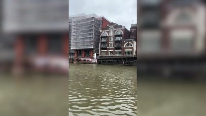 Crocodile sculpture appears at harbour made infamous by a 'croc sighting'