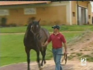 Reportaje Yeguada Dehesa de Milagro