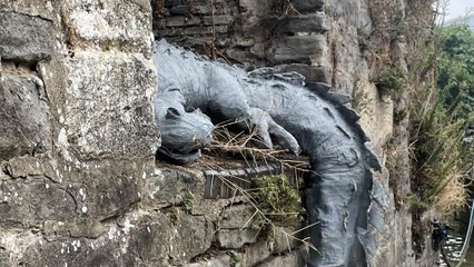 Crocodile sculpture appears at British harbour made infamous by a 'croc sighting'