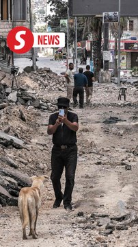 Jenin folks after Israel's raids: What terrorists, we're not terrorists