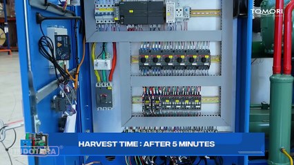 TOMORI ICE FLAKE MAKER TIF-50AS INCLUDE COLD STORAGE, ES LEBIH TAHAN LAMA